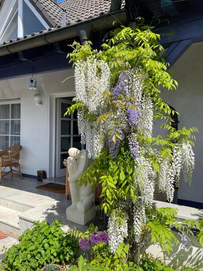 Gaensebluemchen 2 Apartment Daisy 2 Walsdorf  Esterno foto
